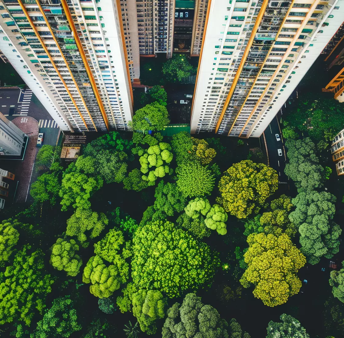 Sustainable Architecture